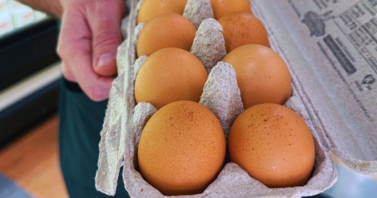 Class I Salmonella Egg Recall 2026 notification showing egg carton plant code P-1950