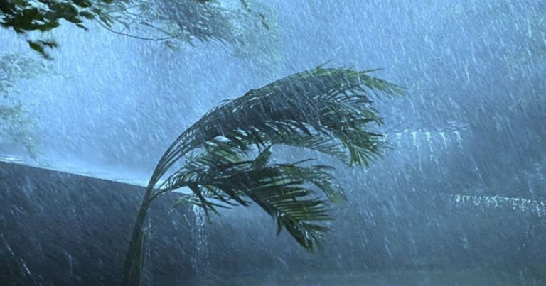 Today weather update and rain forecast in Bangladesh